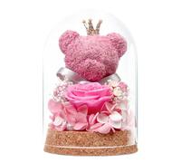 DoraMagic Ours en peluche éternel - Cadeau pour elle - Rose éternelle dans une cloche en verre avec ours mignon - Pour petite amie, mère, épouse, grand-mère, pour anniversaire, anniversaire de mariage