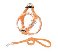 DORAMIO Harnais Chien, Step-in Harnais pour Chiens avec Laisse, Réfléchissant Respirant Mesh Doux Confort Réglable Gilet Harnais pour Petite Chiens Chats pour Marcher Courir (Orange, M)