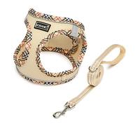 DORAMIO Harnais Chien, Step-in Harnais pour Chiens avec Laisse, Réfléchissant Respirant Mesh Doux Confort Réglable Gilet Harnais pour Petite Chiens Chats pour Marcher Courir (Beige, XS)