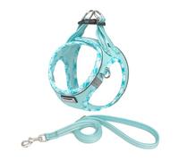 DORAMIO Harnais Chien, Step-in Harnais pour Chiens avec Laisse, Réfléchissant Respirant Mesh Doux Confort Réglable Gilet Harnais pour Petite Chiens Chats pour Marcher Courir (Bleu Clair, XXS)