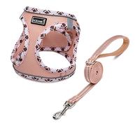DORAMIO Harnais Chien, Step-in Harnais pour Chiens avec Laisse, Réfléchissant Respirant Mesh Doux Confort Réglable Gilet Harnais pour Petite Chiens Chats pour Marcher Courir (Champagne, XXS)