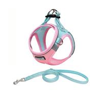 DORAMIO Harnais Chien, Step-in Harnais pour Chiens avec Laisse, Réfléchissant Respirant Mesh Doux Confort Réglable Gilet Harnais pour Petite Chiens Chats pour Marcher Courir (Rose Bleu, XXS)