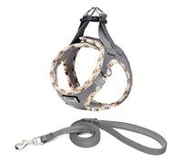 DORAMIO Harnais Chien, Step-in Harnais pour Chiens avec Laisse, Réfléchissant Respirant Mesh Doux Confort Réglable Gilet Harnais pour Petite Chiens Chats pour Marcher Courir (Gris, XXS)