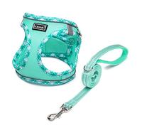 DORAMIO Harnais Chien, Step-in Harnais pour Chiens avec Laisse, Réfléchissant Respirant Mesh Doux Confort Réglable Gilet Harnais pour Petite Chiens Chats pour Marcher Courir (Vert Clair, XL)