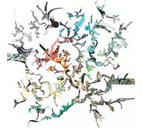 Dorian Concept - Joined Ends +1 [Japan CD] BRC-440