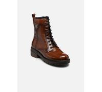 Dorking CADY D9583 pour 41 Marron