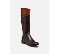 Dorking TIERRA D9827 pour 35 Marron