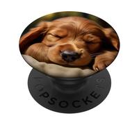 Dormir Rêver Cocker Spaniel PopSockets PopGrip Adhésif