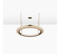 Dornbracht AQUAHALO Panneau de pluie, 41750979-46, Couleur: Champagne brossé