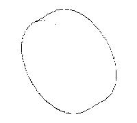 Dornbracht bouton 092078056-00 chromé