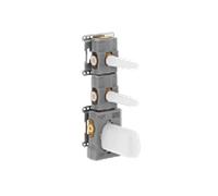 Dornbracht Module de thermostat encastré xTOOL 2 vannes 3552197090