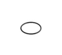 Dornbracht joint torique 37 x 2,5 EPDM 70W 09141003890 100x60x2