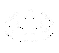 Dornbracht rosace 55 x 10 Madison - m 092735002-09 laiton