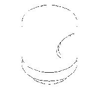 Dornbracht /wfb-ap-flair 092037002-06 platine mat
