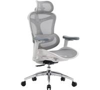 SIHOO Doro C300 Fauteuil de Bureau Ergonomique avec Soutien Lombaire Dynamique,Accoudoirs et Dossier Réglables 3D,Gris
