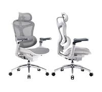 SIHOO Doro C300 Pro Fauteuil de Bureau Ergonomique avec accoudoirs Ultra-Doux 6D, Soutien Lombaire Dynamique,Gris G