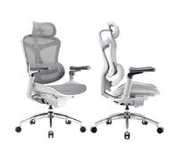 Doro C300 Pro Fauteuil de Bureau Ergonomique avec accoudoirs Ultra-Doux 6D, Soutien Lombaire Dynamique,Gris