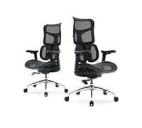 SIHOO Doro S100 Fauteuil de Bureau Ergonomique,avec Soutien Lombaire Dynamique Double,accoudoirs coordonnés en 4D,Noir