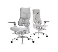 Doro S300 Chaise de Bureau Ergonomique, Soutien Lombaire Dynamique Double, Accoudoirs 6D, Maille Gris Velours, Expédiée en 2 Colis