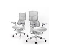 SIHOO Doro S300 Fauteuil de Bureau Ergonomique,avec Support Lombaire Dynamique Double, accoudoirs coordonnés 6D,Blanc Blanc G