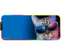 DORRISO RGB Tapis de Souris Gaming Surdimensionné Grands 900 x 400 x 3 mm Tapis de Souris XXL XL Mousepad pour Clavier Souris Ordinateur PC Tapis de Souris Chat