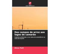 Dos campos de arroz aos lagos de camarão