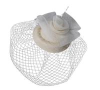 DOSERTY Épingle à cheveux en maille douce avec clip de base robuste pour costumes, anniversaires, réunions de famille, voile, chapeau, pince à cheveux