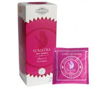 Dosette ESE Cafés Richard Sumatra 100% Arabica - 25 dosettes emballées individuellement