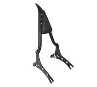 Dosserets Passager pour Moto Dossier Arrière De Moto, Dossier Passager, Repose-Pieds Arrière Adapté Aux Modèles Chieftain Springfield Dark Horse 2014-2024