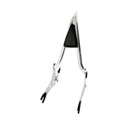 Dosserets Passager pour Moto Dossier Arrière De Moto, Dossier Passager, Repose-Pieds Arrière Adapté Aux Modèles Chieftain Springfield Dark Horse 2014-2024