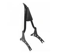 Dosserets Passager pour Moto Dossier Arrière De Moto, Dossier Passager, Repose-Pieds Arrière Adapté Aux Modèles Chieftain Springfield Dark Horse 2014-2024