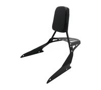 Dosserets Passager pour Moto Pièces De Moto, Dossier, Porte-Bagages Arrière pour Boulevard M109R Boss M109RZ M109R2 Edition 2006-2020, Coussin De Dossier