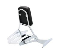 Dosserets Passager pour Moto Pièces De Moto, Dossier, Porte-Bagages Arrière pour Boulevard M109R Boss M109RZ M109R2 Edition 2006-2020, Coussin De Dossier