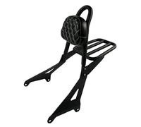 Dossier Amovible pour Siège Arrière De Moto, Porte-Bagages Passager Sissy Bar pour Stryker 1300 XVS1300 XVS 1300 Toutes Années