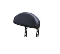 Dossier arrière Passager Moto Coussin De Dossier pour Passager Arrière De Moto, Protection De Dossier, Accessoires pour QJMOTOR Flash 600 V4 FLASH600