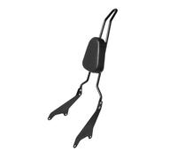 Dossier arrière Passager Moto Dosseret Passager Arrière Détachable Dosseret Siège Arrière pour Star pour Bolt XV950 XVS950 2014-2020