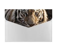 Dossier extensible à 6 poches, motif tigre animal tigre, format lettre A4, organiseur de documents portable pour reçus, factures, fournitures de bureau