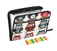 Dossier extensible à suspendre avec 13 poches format A4 avec fermeture éclair pour organiseur de fichiers en plastique Motif hibou Buffalo Flocons de neige