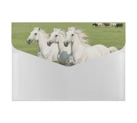 Dossier extensible avec 6 poches - 33 x 23 cm, format A4, organiseur de documents en polypropylène, organiseur de documents en accordéon cheval blanc cabré pour bureau et maison