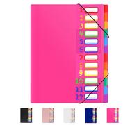 Dossier extensible, gestionnaire de fichiers, 24 poches, format lettre, peut contenir 240 feuilles, en plastique ligné arc-en-ciel, dossiers colorés, conçu pour la maison, le bureau, l'école (rose,