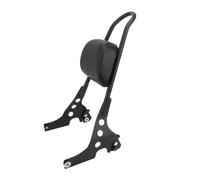 Dossier Passager Arrière Dossier Arrière De Passager Amovible Noir Moto Pour Pour Sportster XL883 1200 X48 Pour Quarante Huit 2004 - 2023