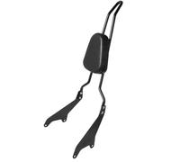 Dossier Passager Arrière Moto Barre De Dossier Passager Arrière Moto Détachable Noir Pour Pour Star Pour Boulon XV950 XVS950 2014-2020