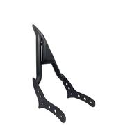 Dossier Passager Arrière Moto Pour Rebel 300 500 CMX300 CMX500 2017 2018 2019 2020 2021 2022 Dossier Arrière Amovible De Moto Avec Porte-bagages