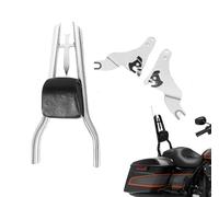 Dossier Passager Noir Sissy Bar pour Road Glide Custom FLTRX 2010 2011 2012 2013