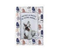 Dossier santé personalisable pour animaux couleur motif an chats Color Pop - France