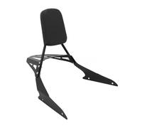 Dossier siège arrière Moto Coussin De Siège De Moto, Accessoires pour Dossier Passager Arrière, Barre Sissy pour Boulevard M109R, M109R2, M109RZ, Édition Boss