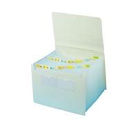 Dossiers de classement en accordéon, dossier extensible avec couverture 26 pages, sac d'orgue A4, classification multicouche debout for la maison, le bureau et l'école (violet)(Light green)