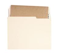 Dossiers Pour Documents - Dossiers Pour Classeur Onglets Coupe 1/3,100 Pièces Organisateur De Documents Pour École, Classe, Bureaux, Gestion Des Flux De Travail, Contrats Commerciaux,