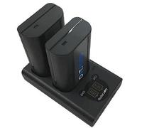 Dot.Foto DMW-BLJ31 Premium 3100mAh Batterie (x2) & DMW-BTC14 Type Chargeur Double USB LCD Rapide pour Panasonic Lumix DC-S1, DC-S1R