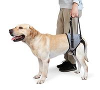 Dotoner Harnais de Levage pour Chien - Harnais de Soutien pour Pattes arrière - Écharpe de Soutien Souple pour Chiens de Petite, Moyenne et Grande Taille blessée